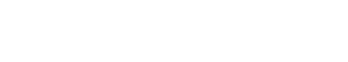 Ecat Srl